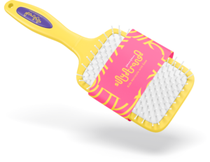 Hair Brush