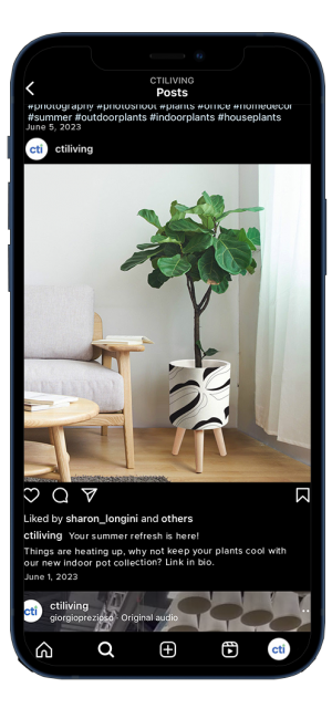 social media instagram post for planter.